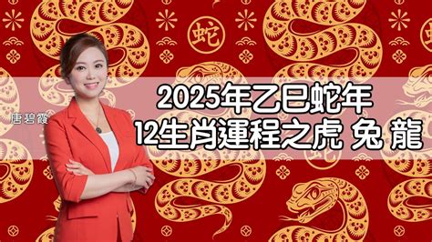 乙巳年生肖|2025乙巳蛇年12生肖全年運勢提點